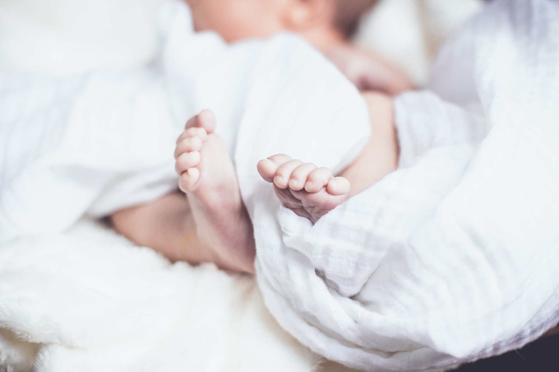 April 2022, Ireland: Maud de Boer-Buquicchio, CHIP president, participates in discussions by Joint Committee on International Surrogacy